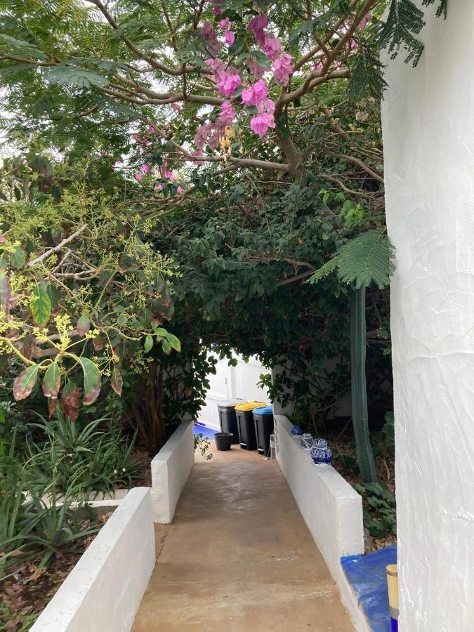לה קאלטה Apartamentos Y Habitaciones Villa Marina מראה חיצוני תמונה