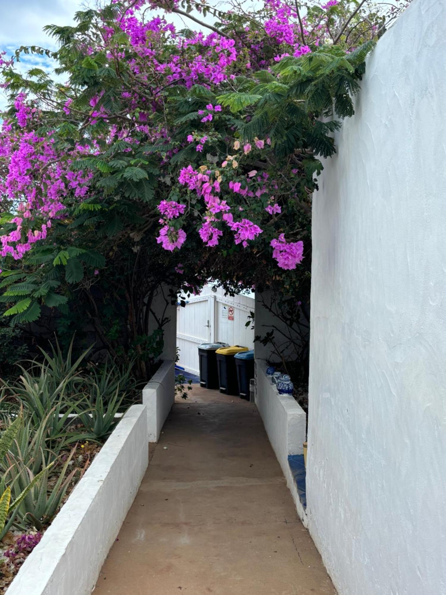 לה קאלטה Apartamentos Y Habitaciones Villa Marina מראה חיצוני תמונה