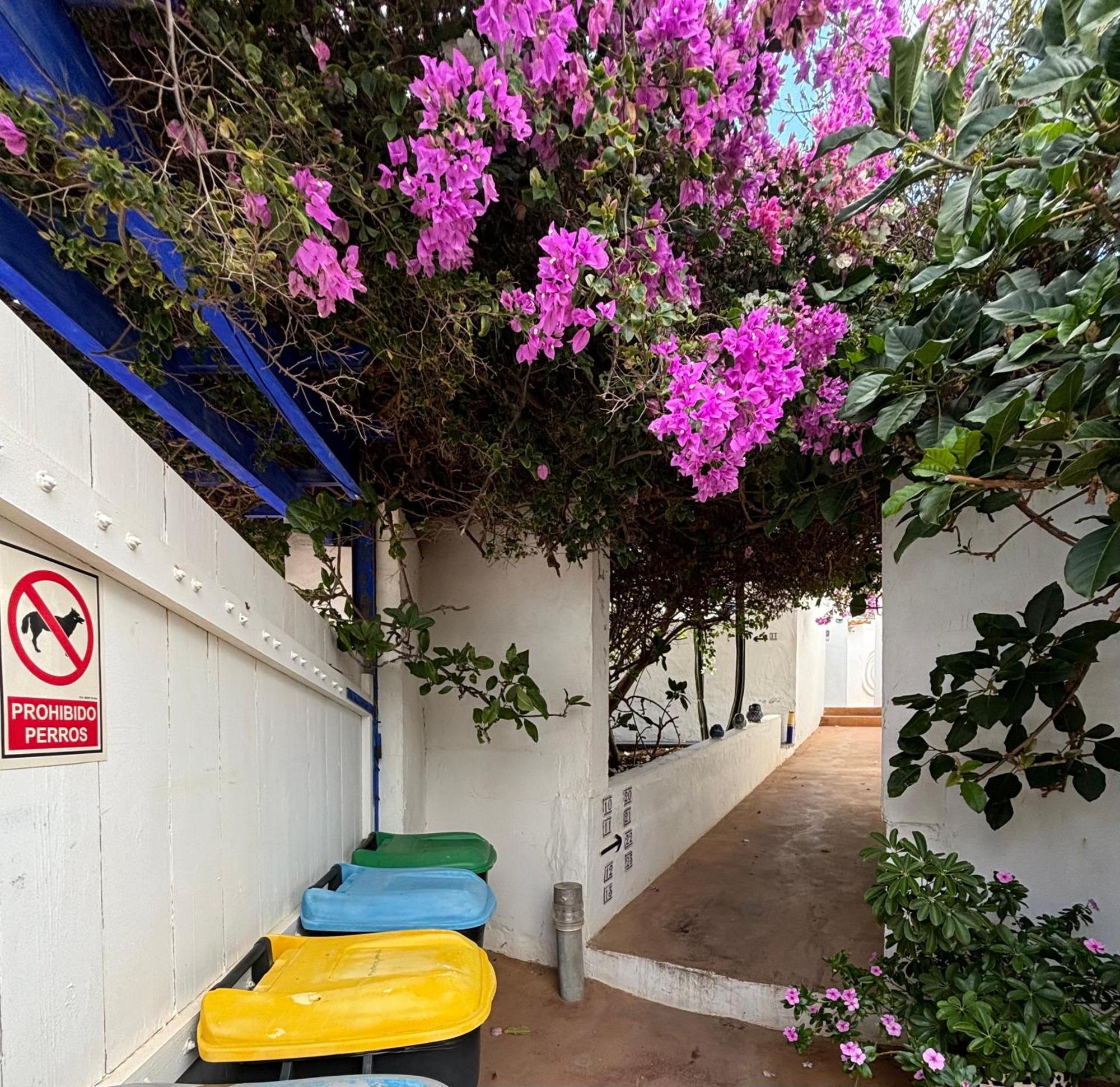 לה קאלטה Apartamentos Y Habitaciones Villa Marina מראה חיצוני תמונה
