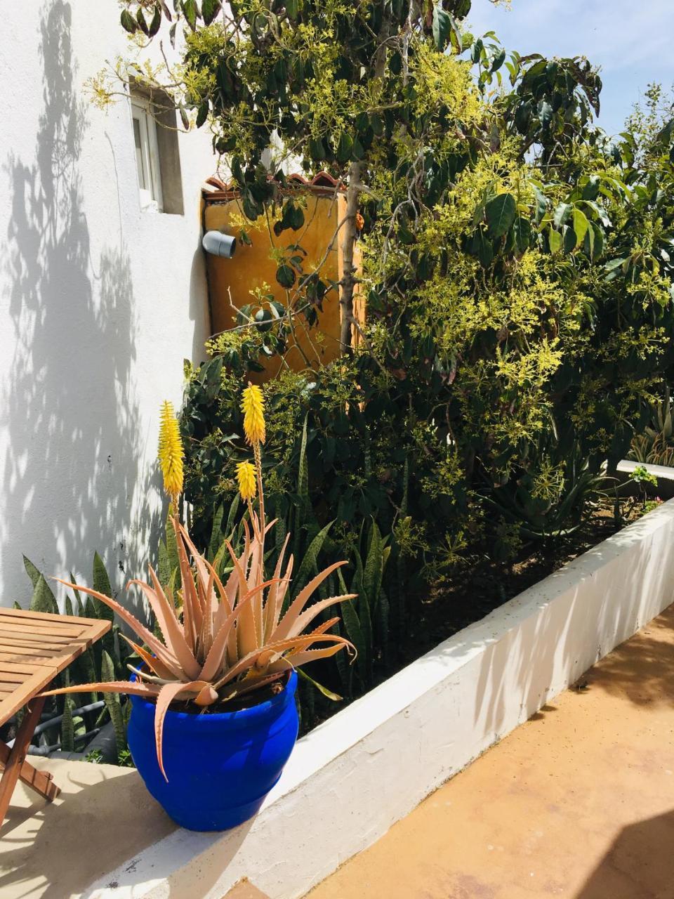 לה קאלטה Apartamentos Y Habitaciones Villa Marina מראה חיצוני תמונה